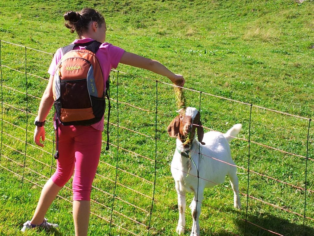 Apart Alpenpension Maderer Gaschurn Dış mekan fotoğraf