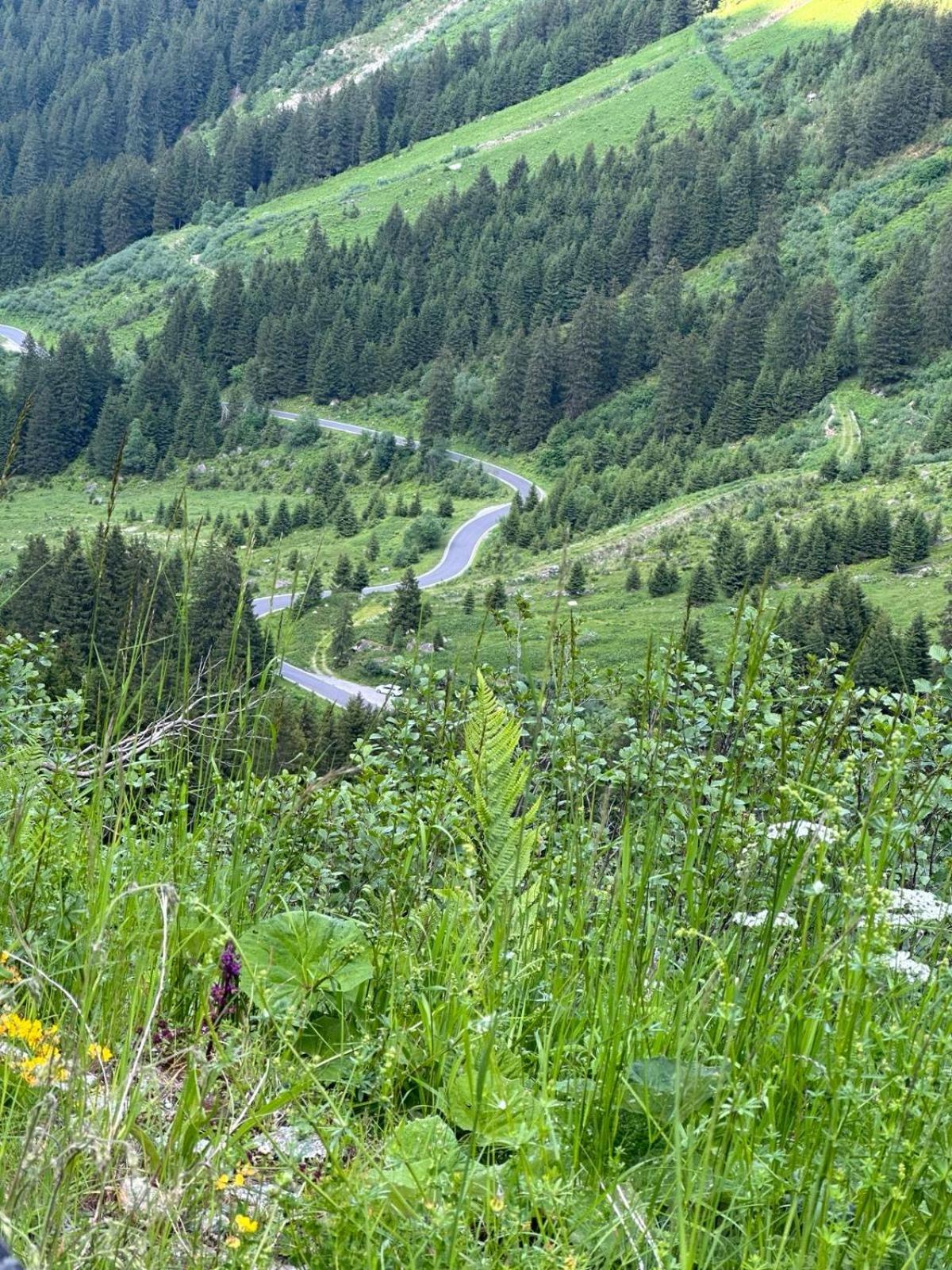 Apart Alpenpension Maderer Gaschurn Dış mekan fotoğraf
